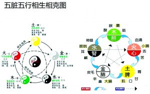 张卜生：情绪和五脏的关系 - Origin Of Self 张卜生教授官方网站