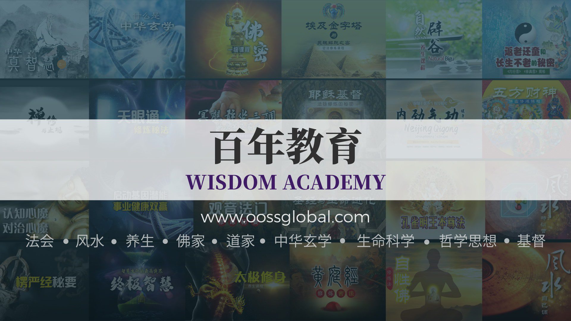 122703228_4804690852904698_2065210086573403646_o